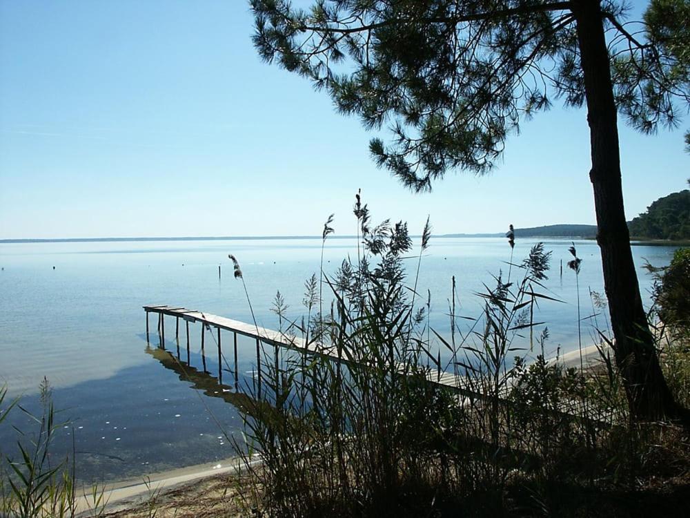 Biscadodo, Joignable Au Zero6Trente53Cinquante60 Bed & Breakfast Biscarrosse Exterior foto