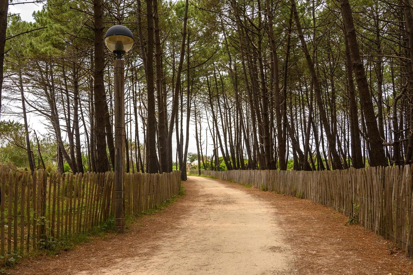 Biscadodo, Joignable Au Zero6Trente53Cinquante60 Bed & Breakfast Biscarrosse Exterior foto